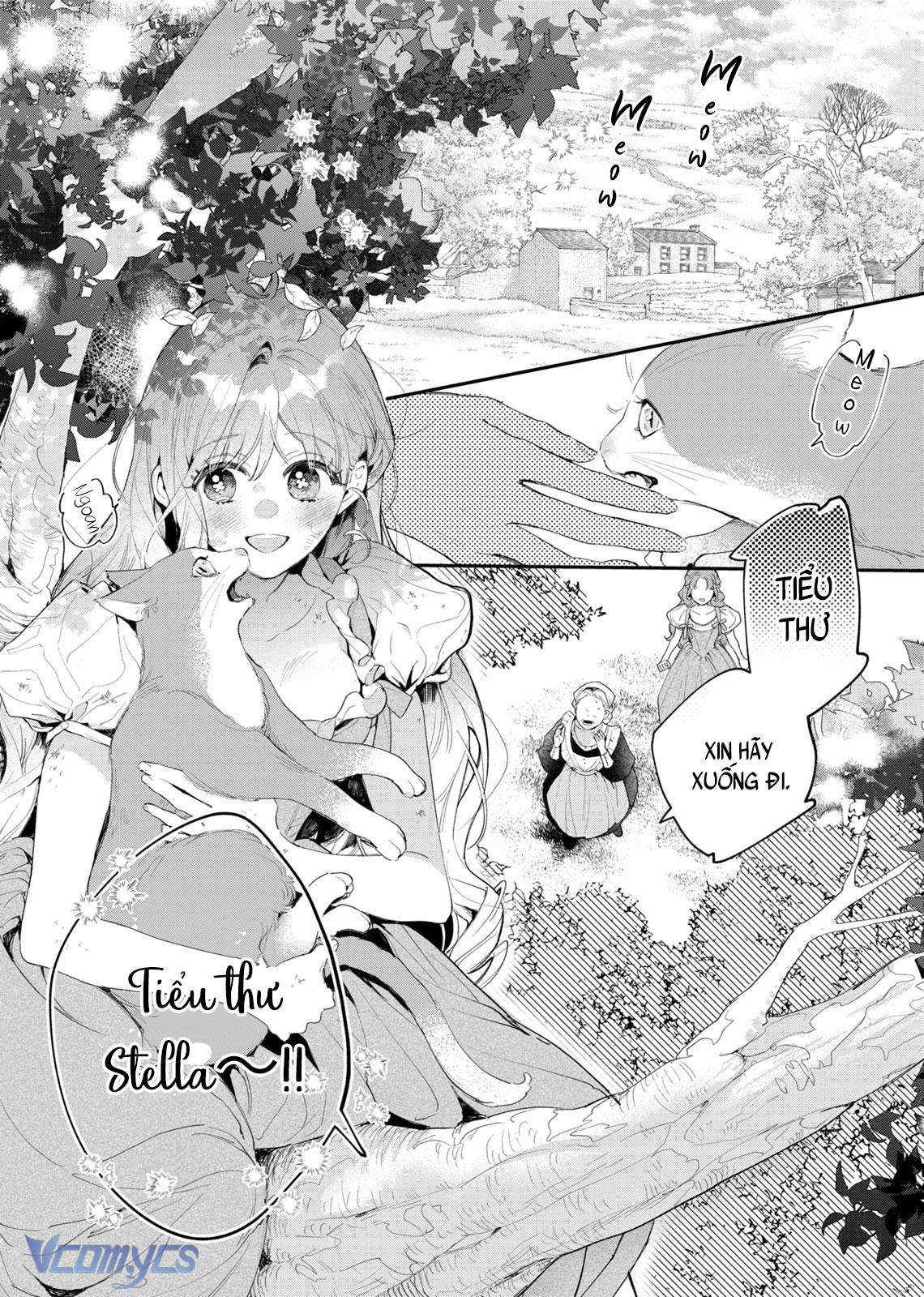 Hoa Hồng Ẩn Giấu Sao Băng Chapter 1 - Trang 4