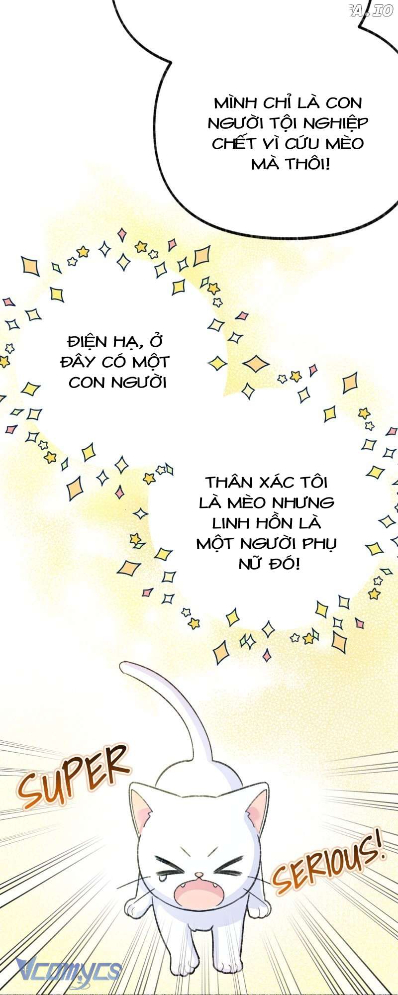 Trở Thành Chú Mèo Ngủ Cùng Bạo Chúa Chapter 1 - Trang 3