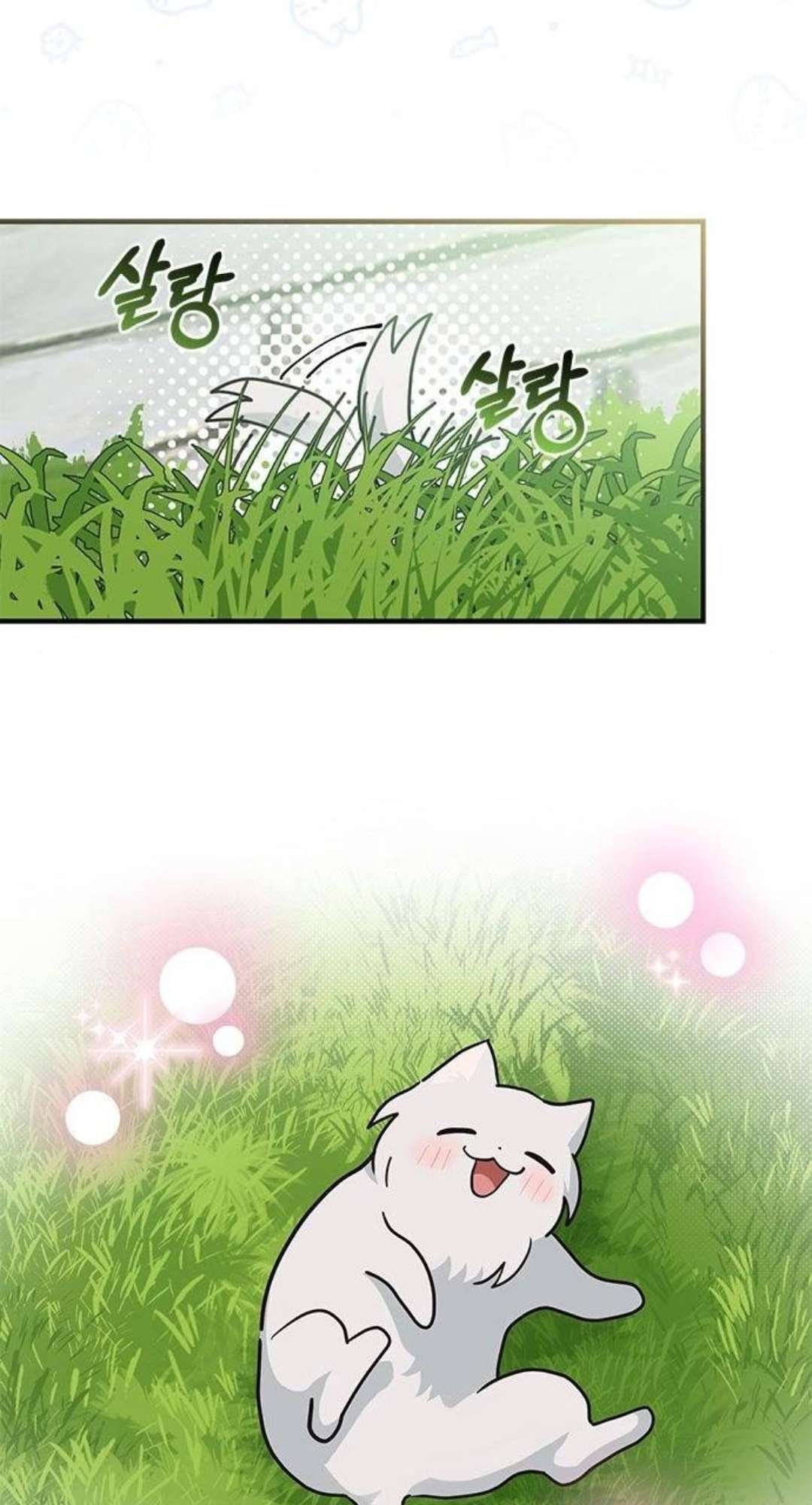 Mèo con được gia tộc sói nhận nuôi? Chapter 24 - Trang 3