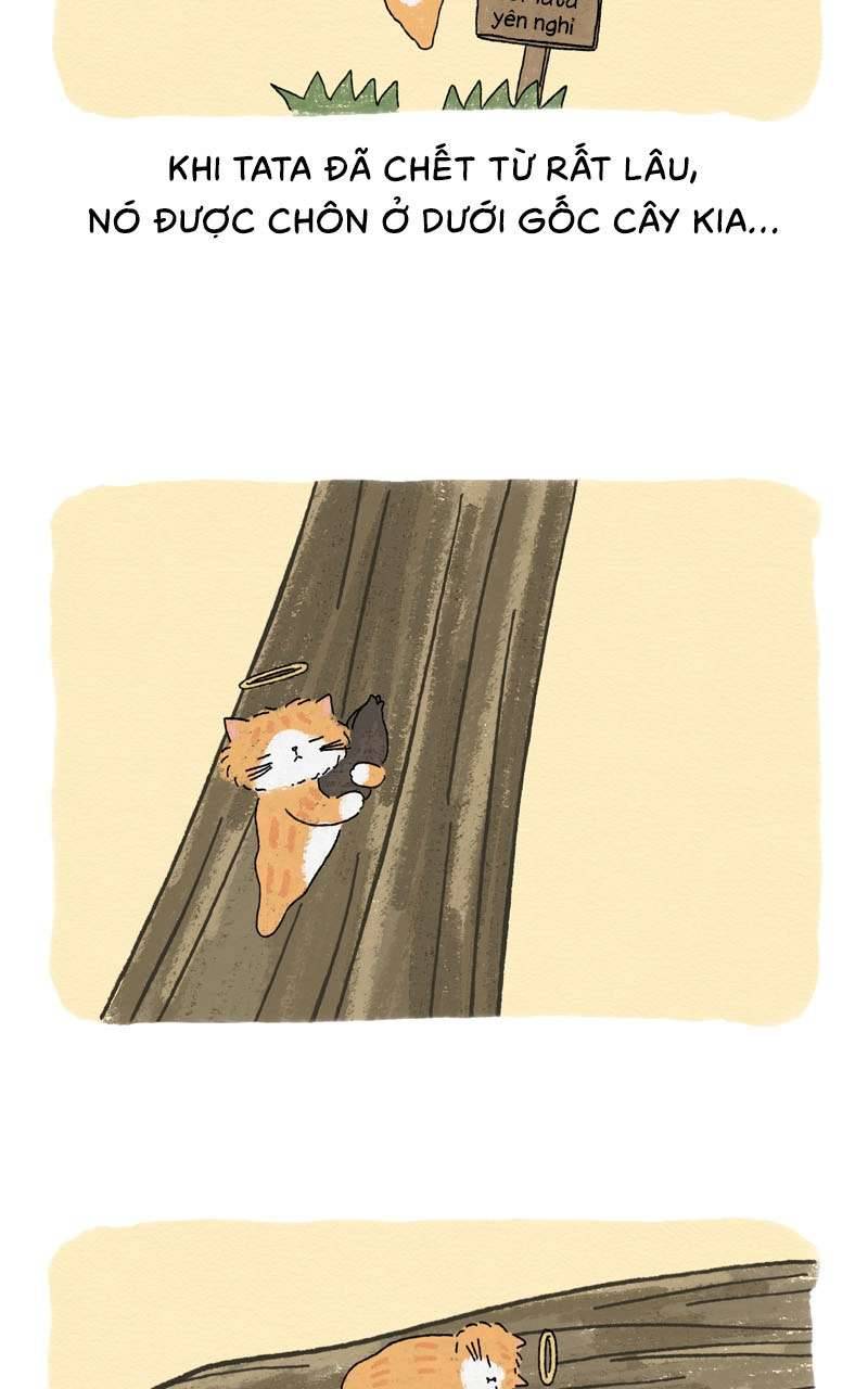 Chú Mèo Tata Chapter 3 - Trang 3