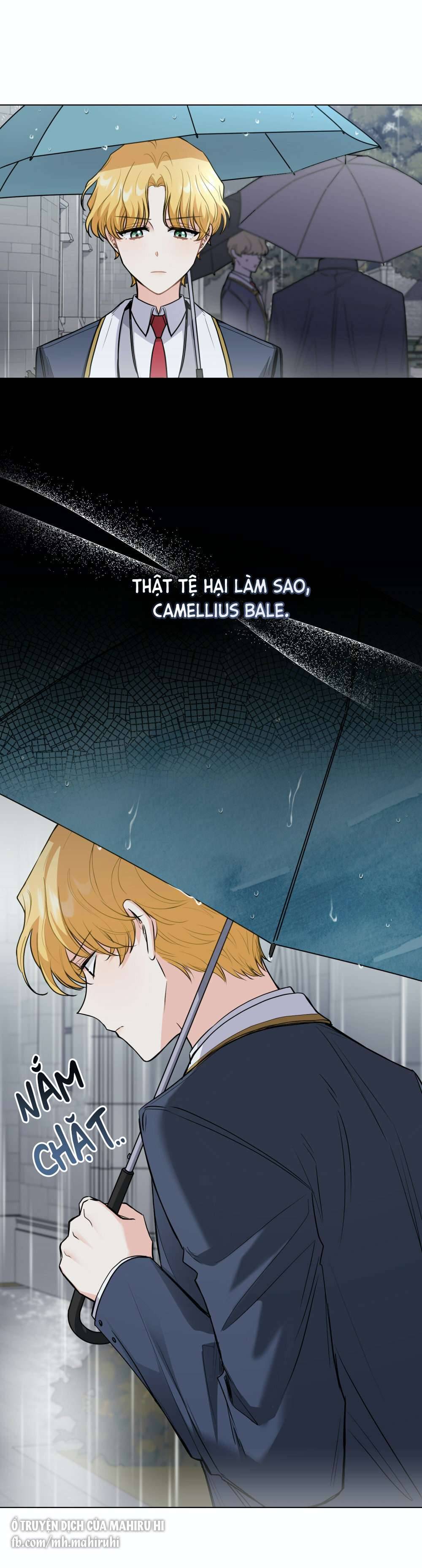 Tìm Lại Camellia Chapter 44 - Trang 4