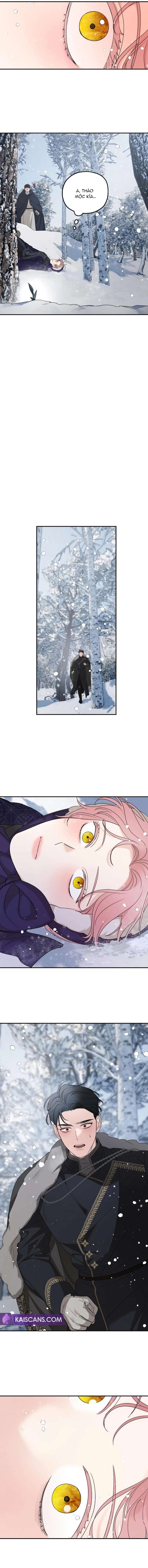 Gia Đình Chồng Quá Ám Ảnh Bởi Tôi Chap 94 - Next Chap 95