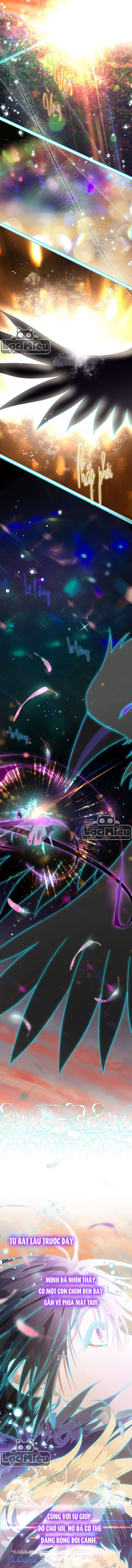 Bỗng Nhiên Tôi Trở Thành Quạ Đen!! Chapter 11 - Trang 4