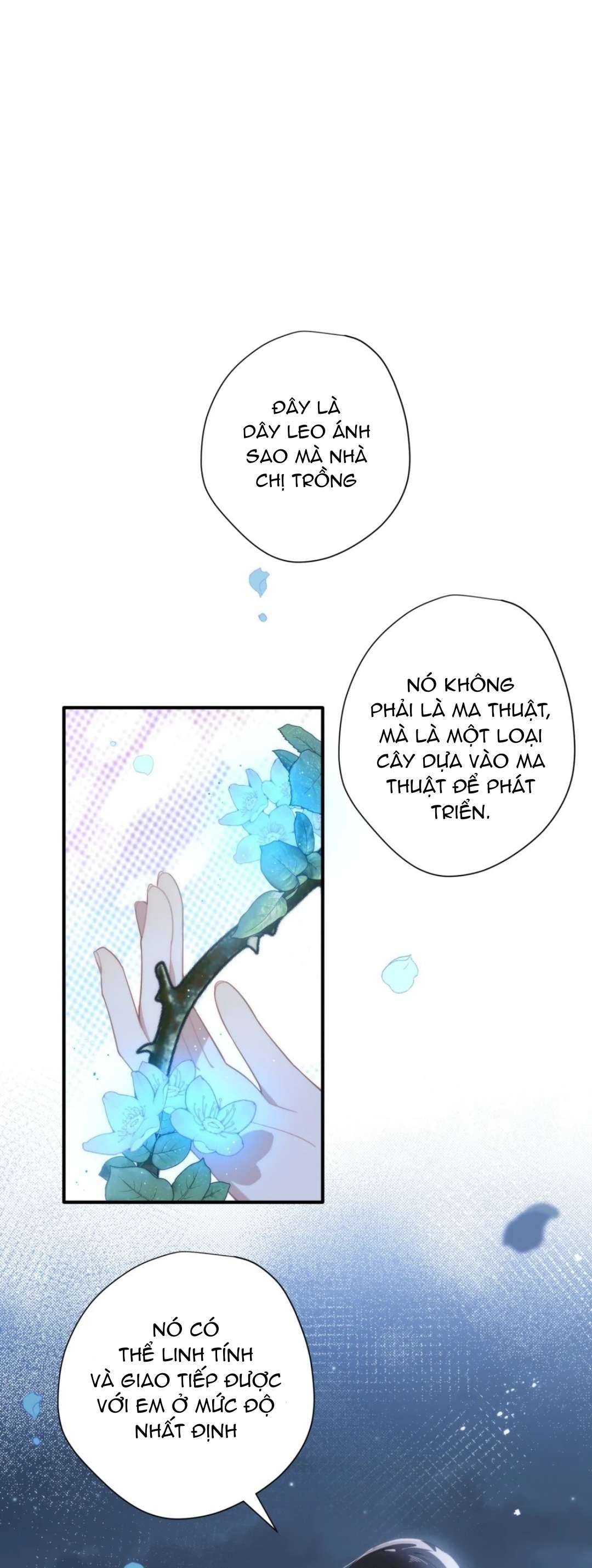 Xuyên thành phù thủy nuôi dưỡng kỵ sĩ thánh điện Chapter 13 - Trang 4