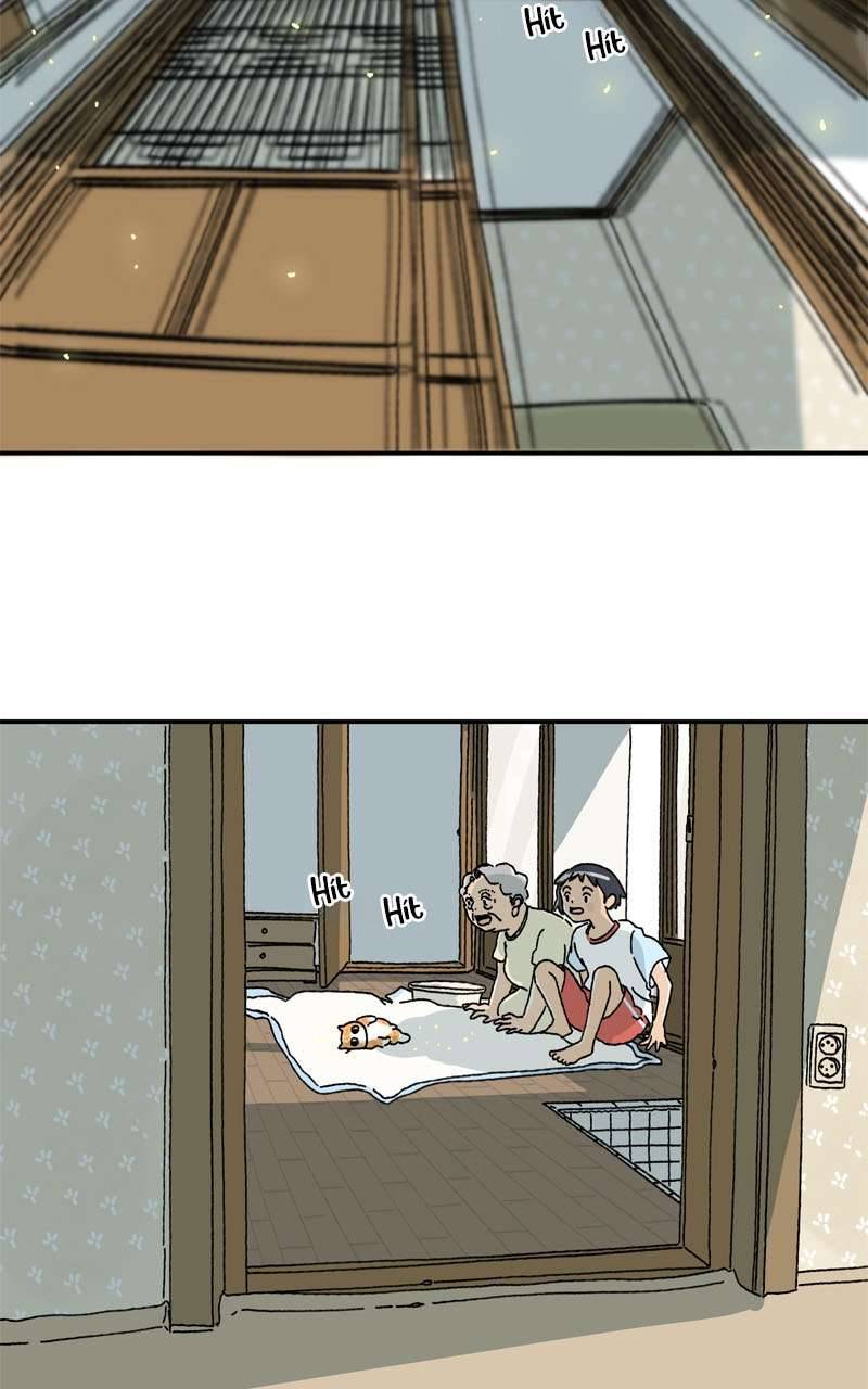 Chú Mèo Tata Chapter 3 - Trang 3