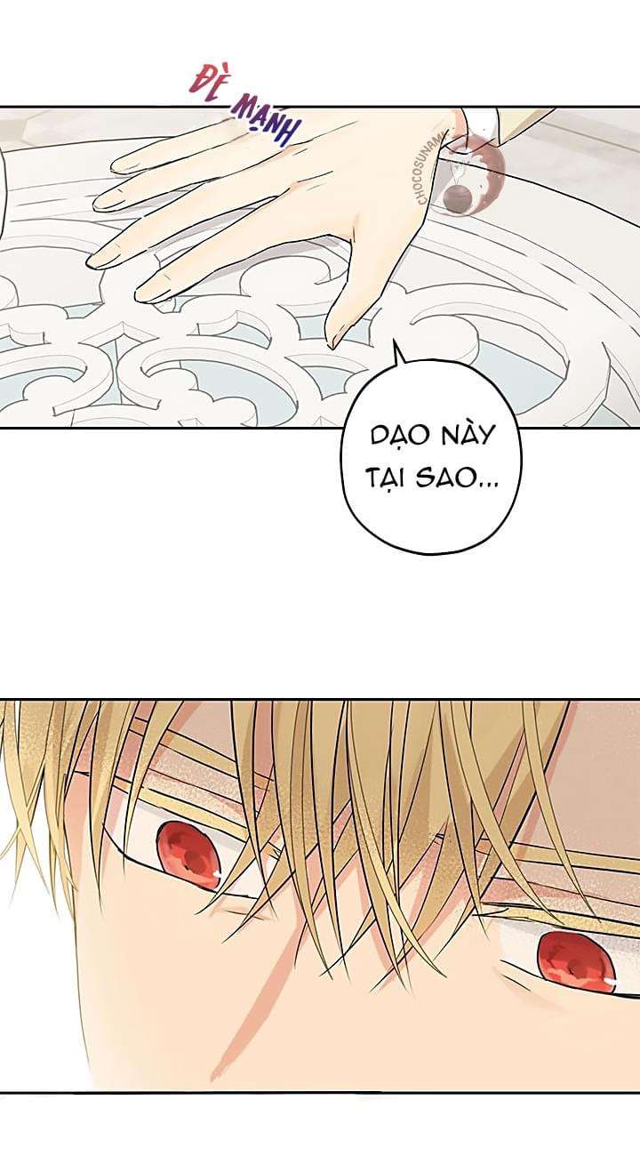 Tôi Là Minh Chứng Của Sự Thật Chap 22 - Trang 3