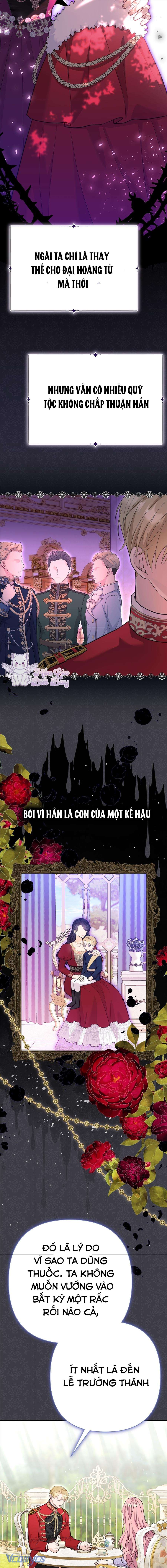 Tuy Là Hoàng Hậu, Nhưng Tôi Muốn Né Hoàng Đế Chapter 32 - Trang 4