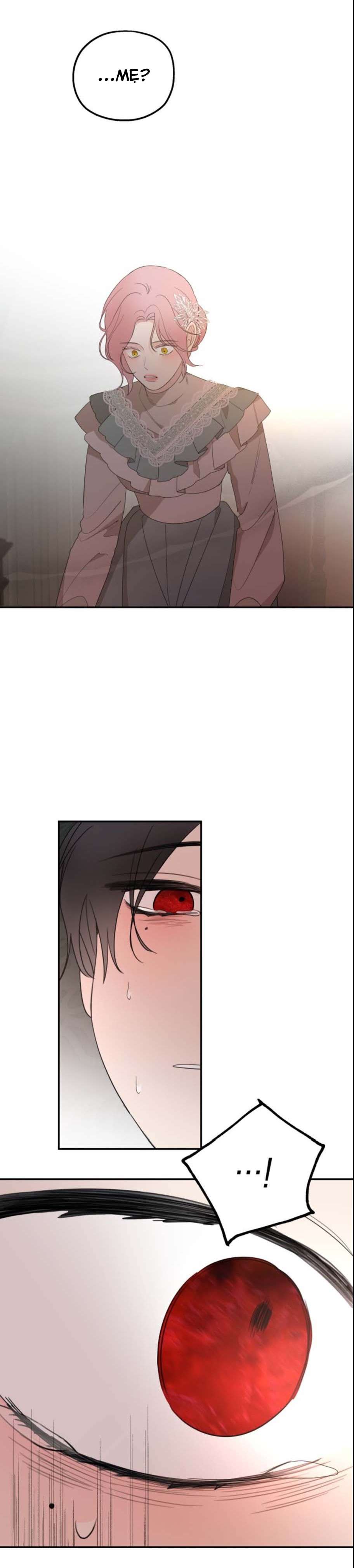 Gia Đình Chồng Quá Ám Ảnh Bởi Tôi Chap 22 - Next Chap 23