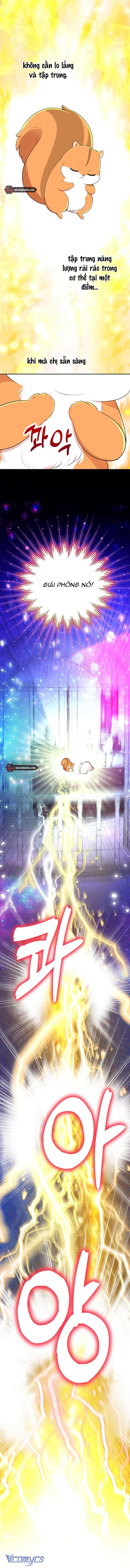 Sóc Con Tài Năng Chap 74 - Trang 2