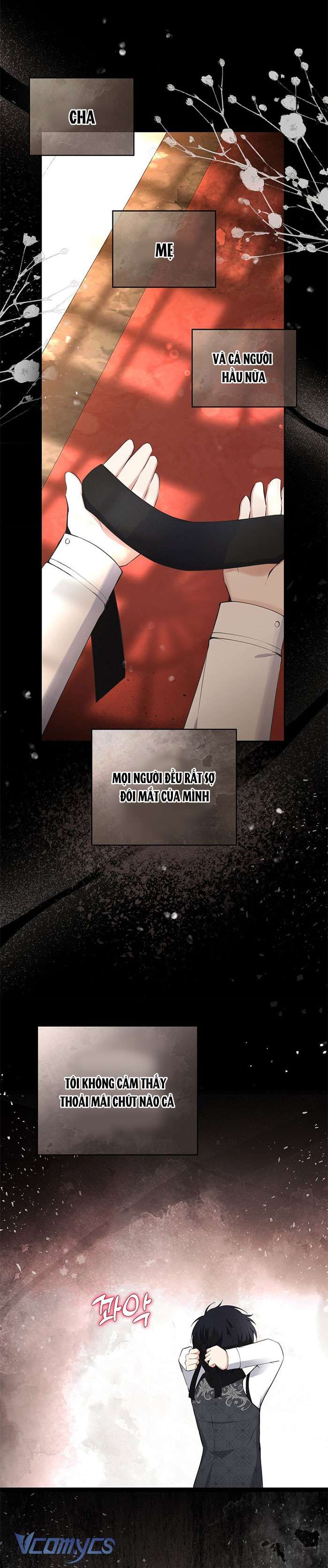 Sóc Con Tài Năng Chap 31 - Trang 2