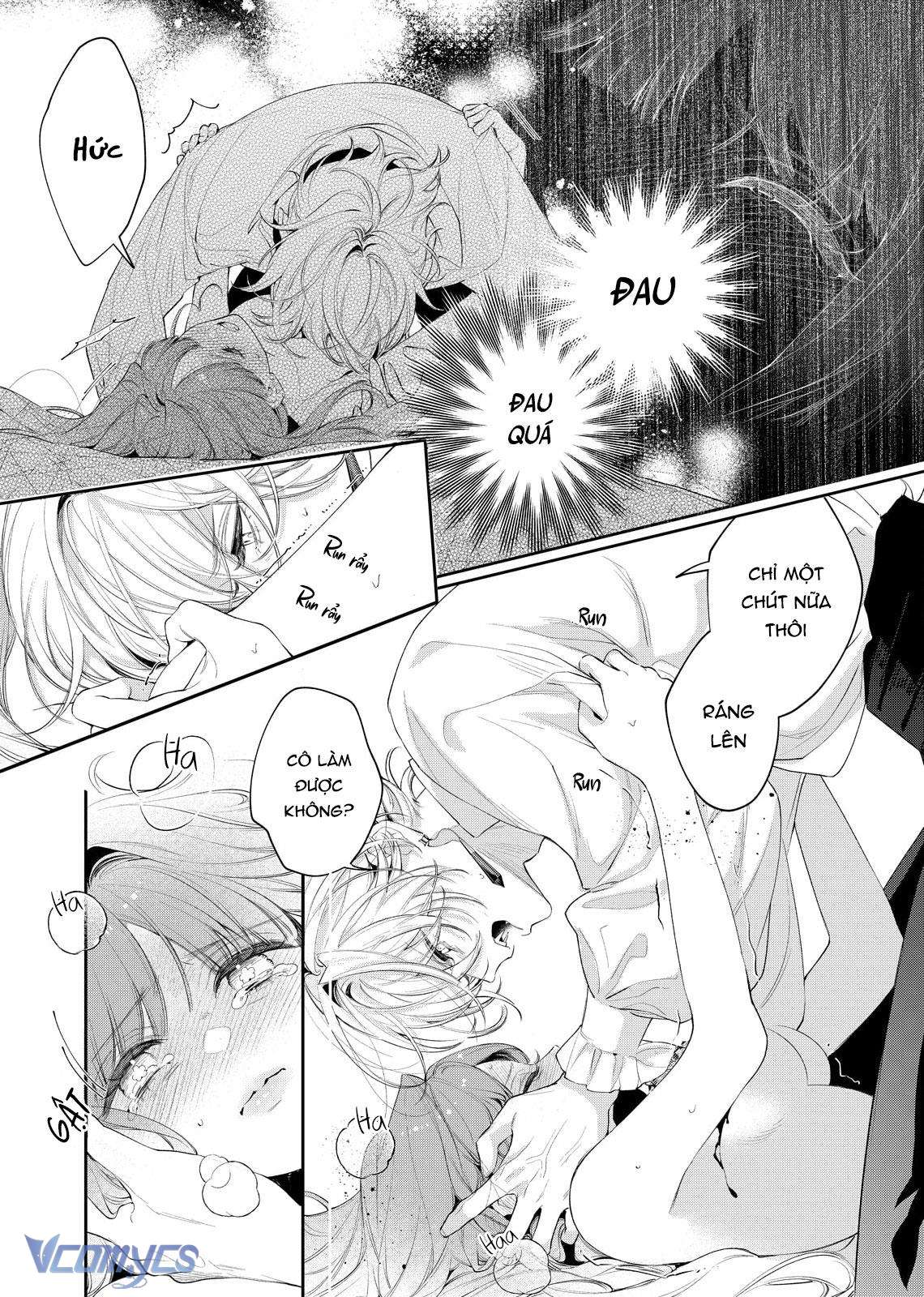 Hoa Hồng Ẩn Giấu Sao Băng Chapter 8 - Trang 4