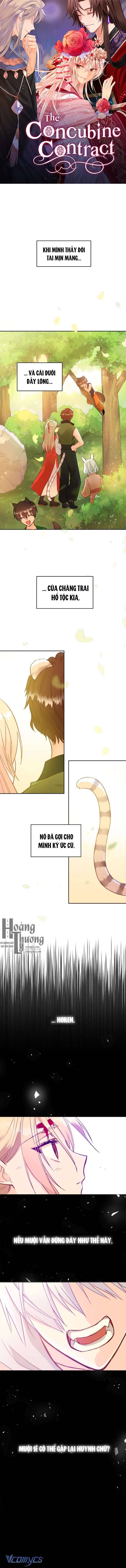 Ái Phi Khế Ước Chapter 29 - Trang 4