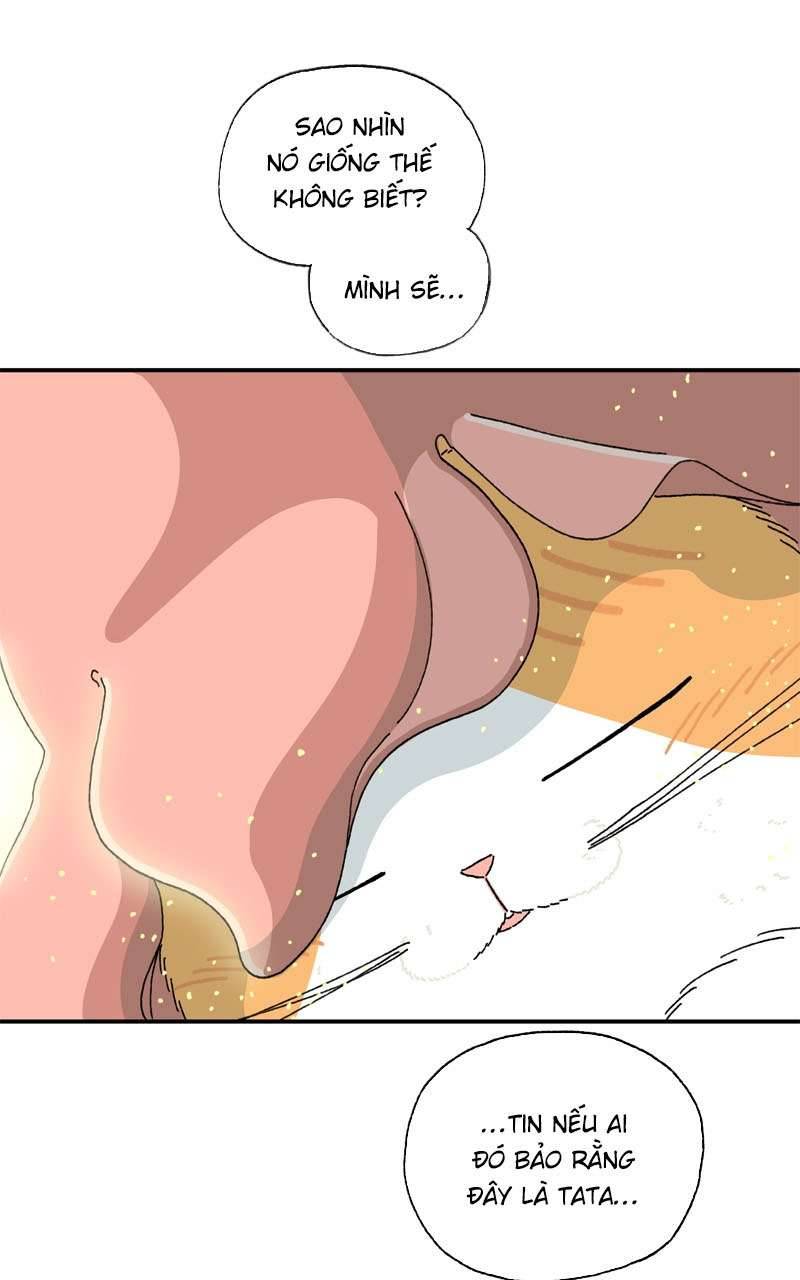 Chú Mèo Tata Chapter 2 - Trang 3