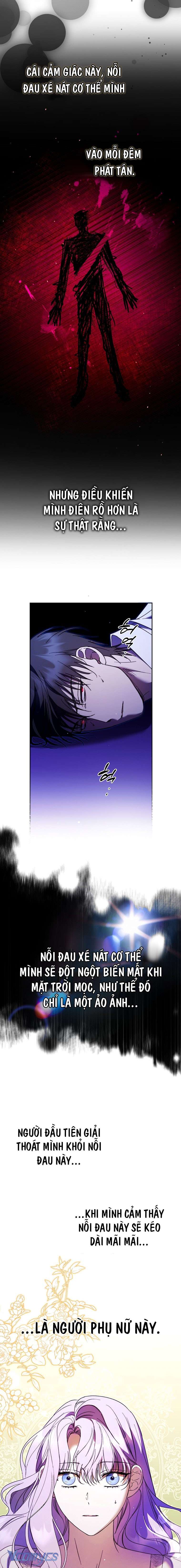 Các Nam Chính Đã Bị Nữ Phụ Cướp Mất Chap 17 - Trang 3