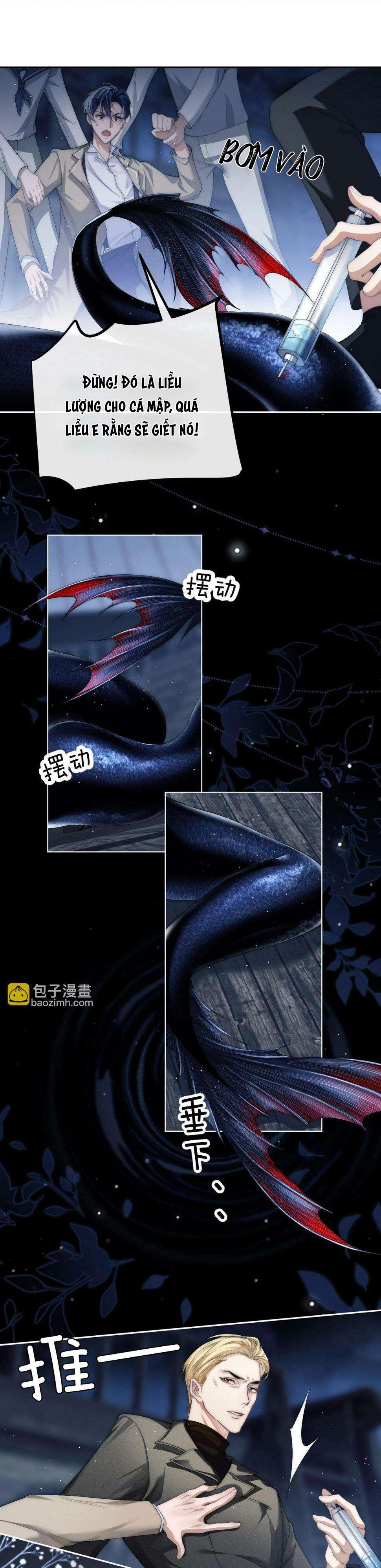 Nhân Ngư Desharow Chapter 2 - Trang 4