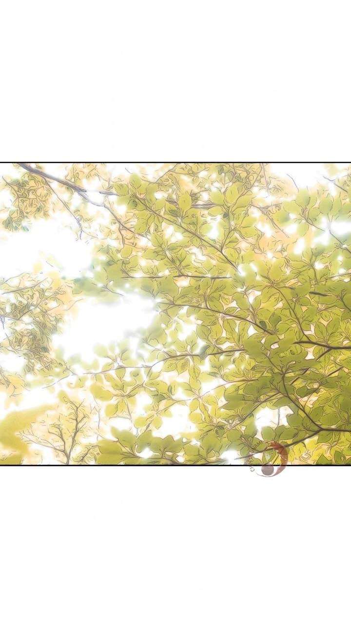 Tôi Là Minh Chứng Của Sự Thật Chap 53 - Trang 2