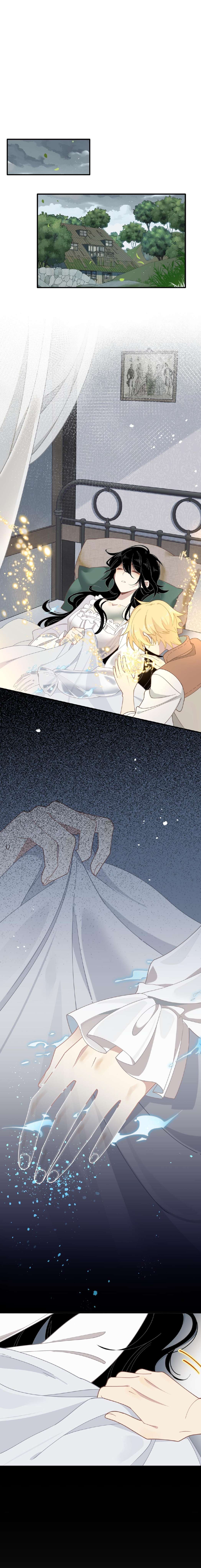 Xuyên thành phù thủy nuôi dưỡng kỵ sĩ thánh điện Chapter 45 - Trang 4