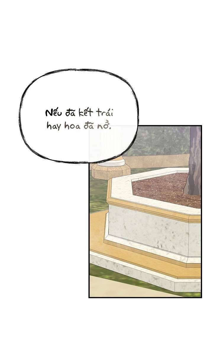 Tôi Không Phải Là Cinderella Chapter 84 - Trang 4