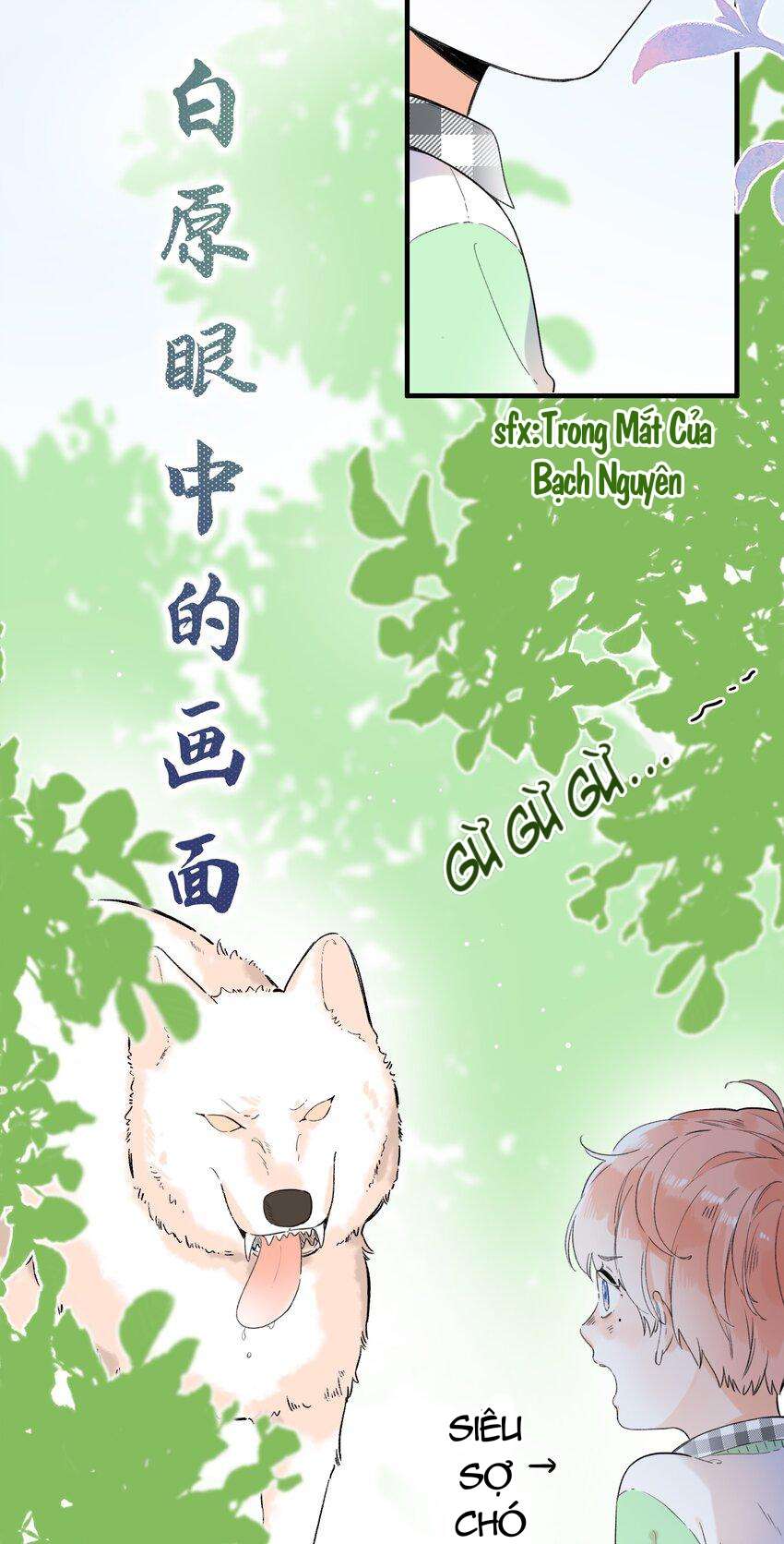 Ánh Sao Phiêu Linh Trong Nước Chapter 17 - Next Chapter 18