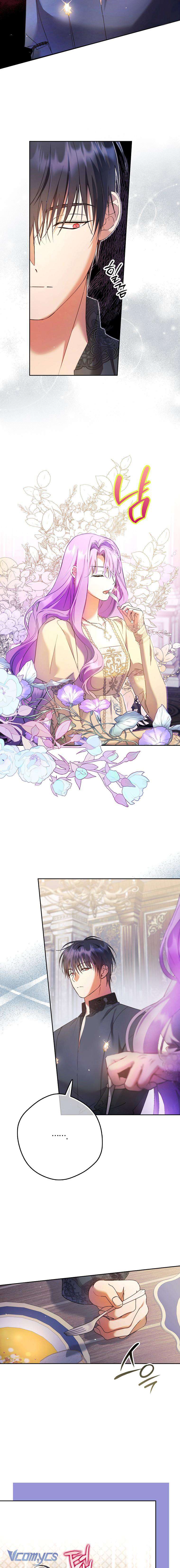 Các Nam Chính Đã Bị Nữ Phụ Cướp Mất Chap 19 - Trang 3