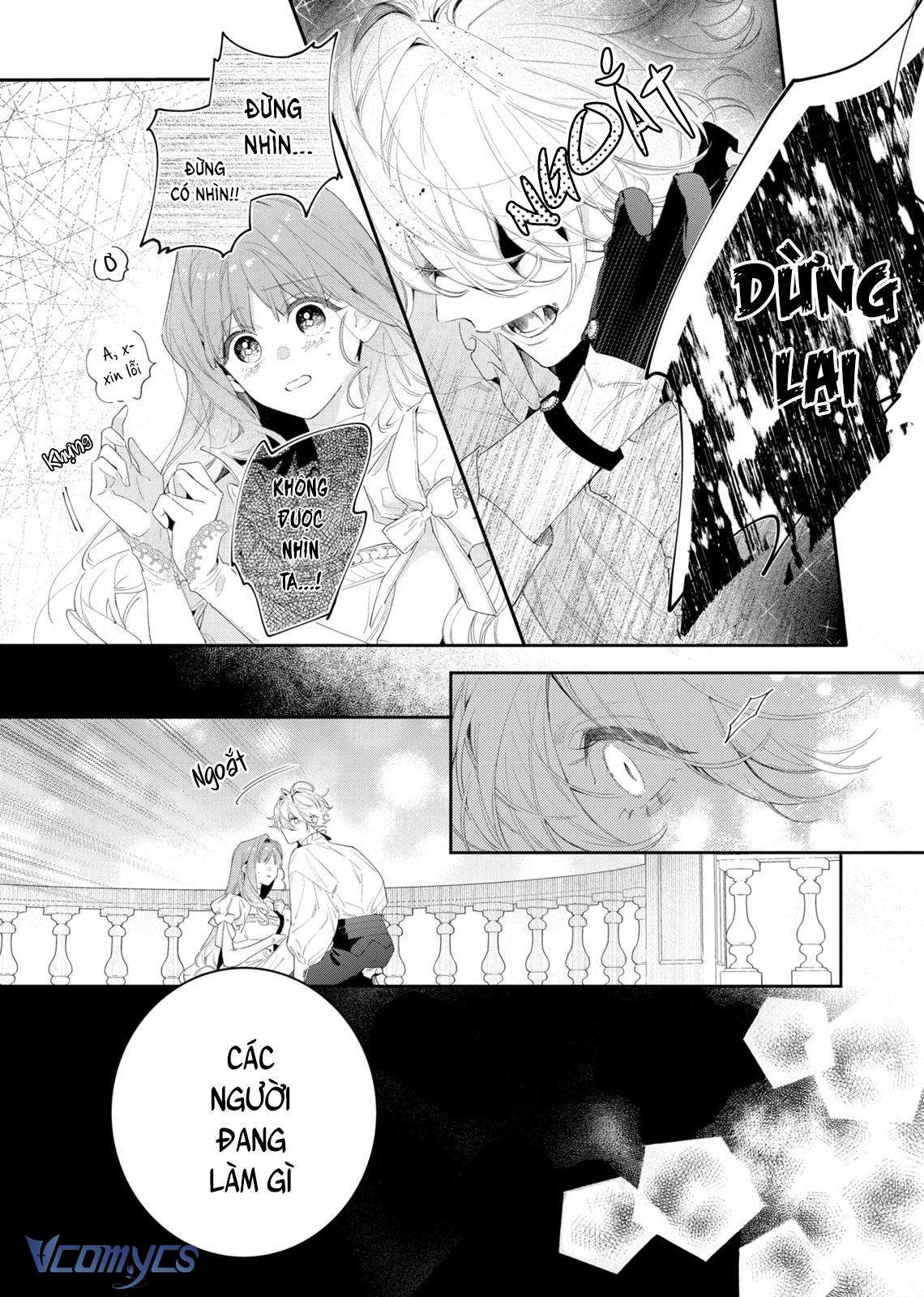 Hoa Hồng Ẩn Giấu Sao Băng Chapter 3 - Next Chapter 4