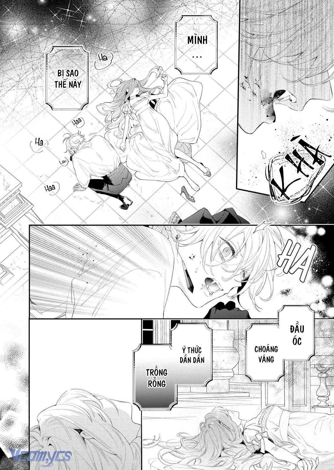 Hoa Hồng Ẩn Giấu Sao Băng Chapter 3 - Next Chapter 4