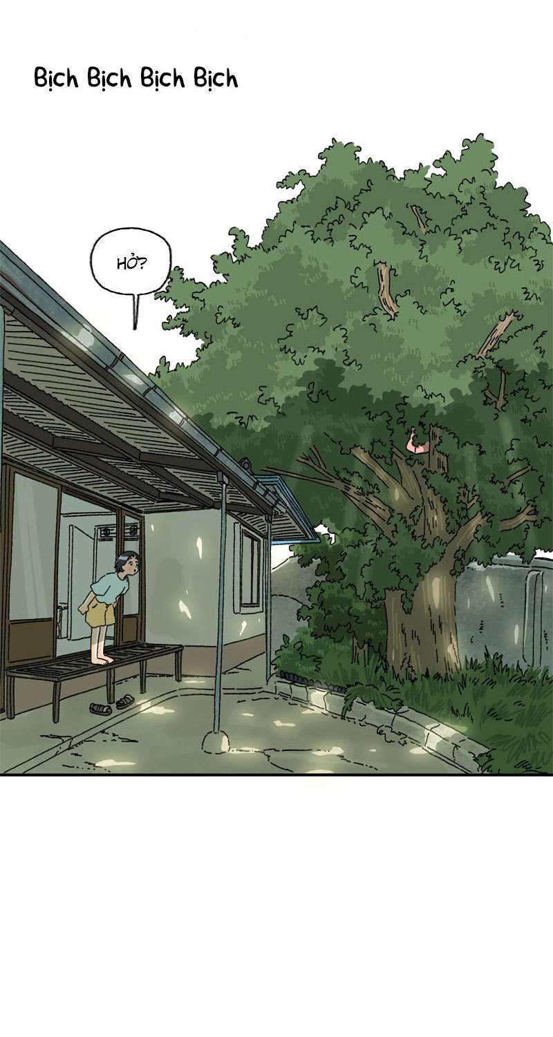 Chú Mèo Tata Chapter 1 - Trang 3