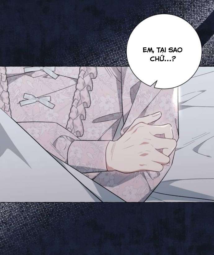 Tôi Tưởng Đó Chỉ Là Tiểu Thuyết Trọng Sinh Bình Thường Chapter 43 - Trang 4