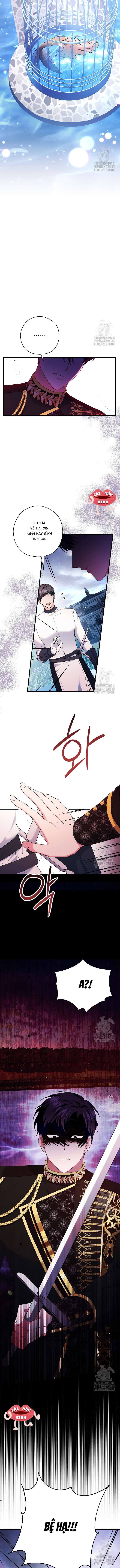 Không Cần Sự Ám Ảnh Của Bạo Chúa Chapter 6 - Trang 4