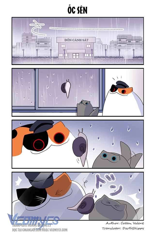 Creepy Cat 360 - Trang 2