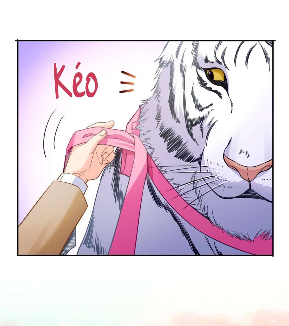 Hệt Như Hàn Quang Gặp Nắng Gắt Chap 207 - Trang 4