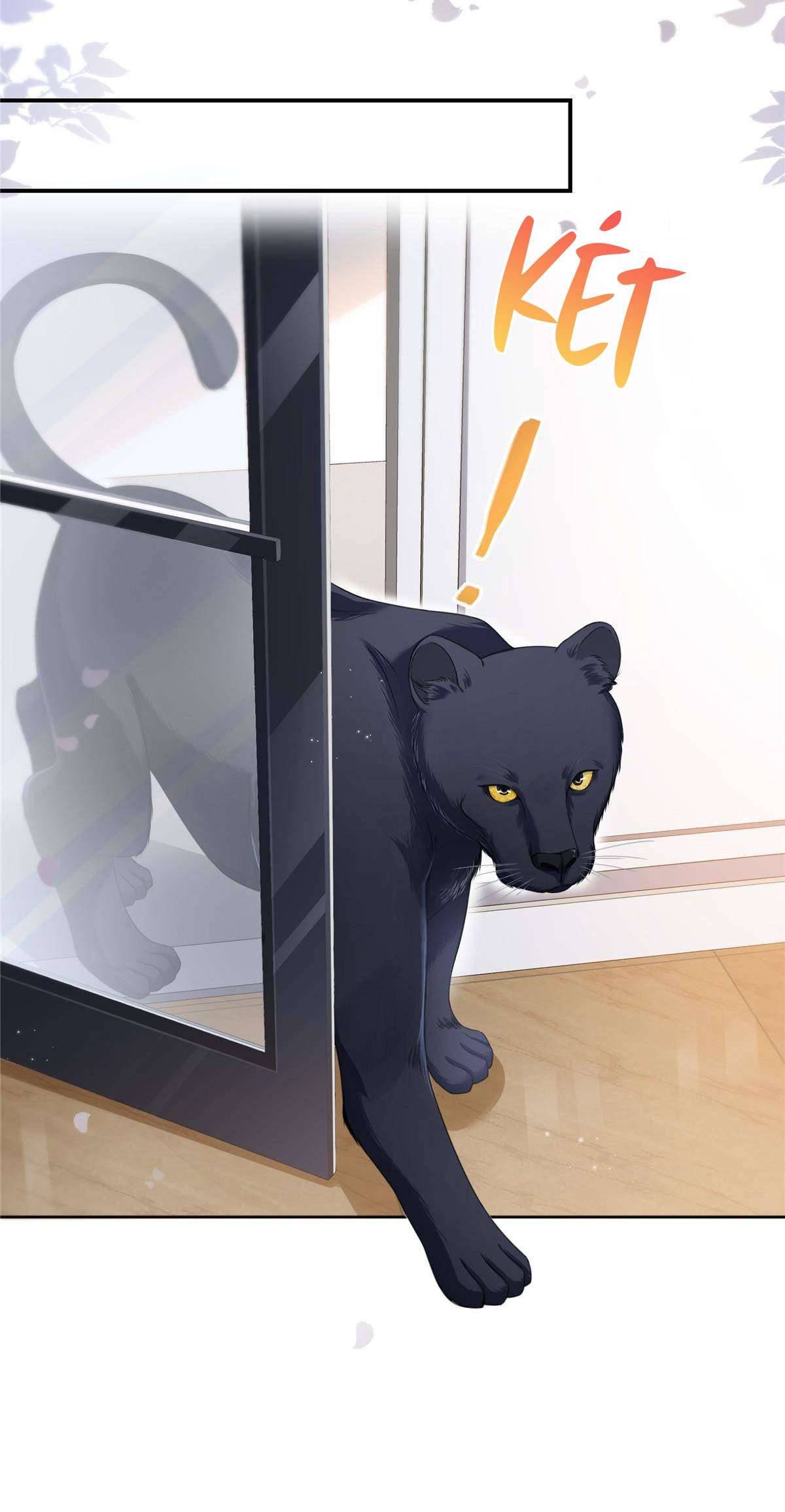 Hệt Như Hàn Quang Gặp Nắng Gắt Chap 276 - Trang 4