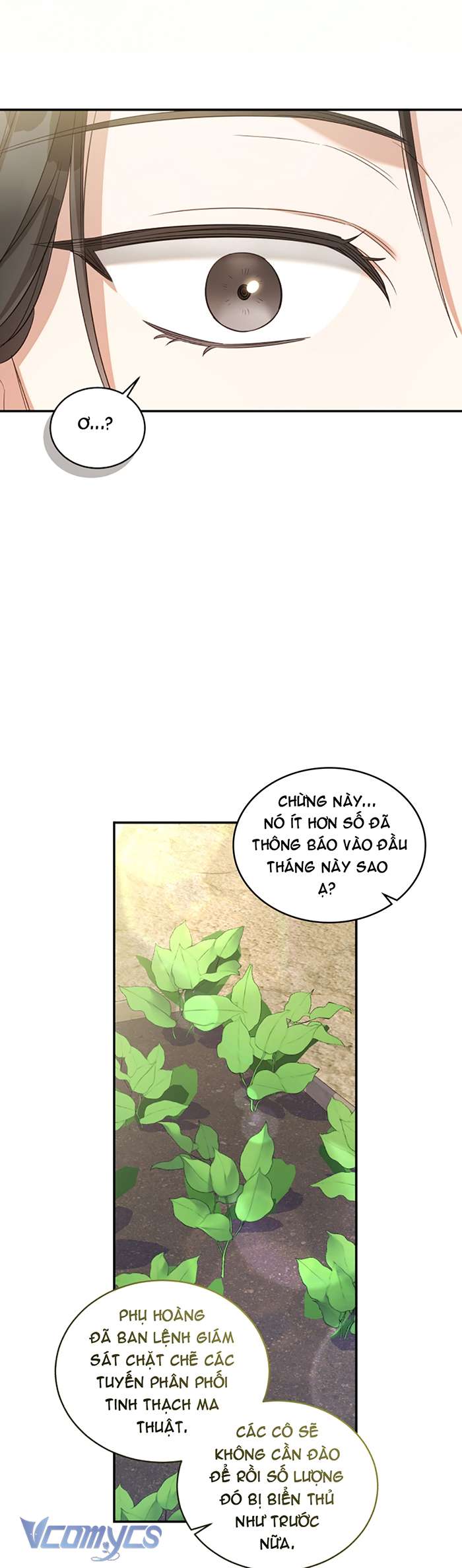 Công Chúa Khắc Ấn Lên Kẻ Phản Nghịch Chap 62 - Trang 2
