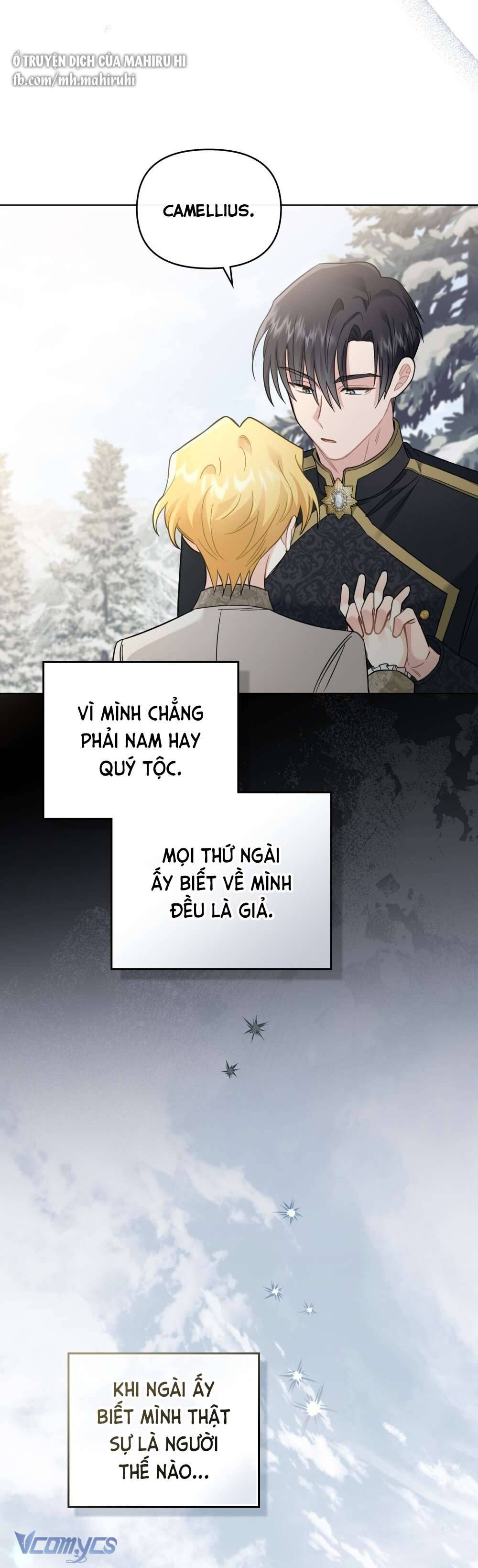 Tìm Lại Camellia Chapter 71 - Trang 4