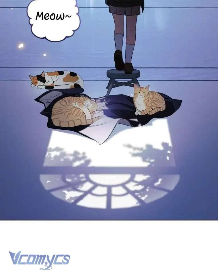 Được Yêu Thương Mà Còn Ngại Ngùng Sao! Chap 74 - Trang 2