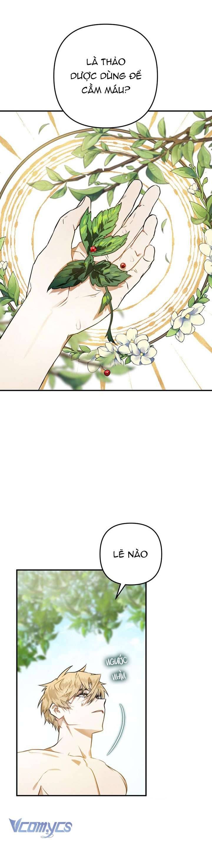 Bỗng Nhiên Tôi Trở Thành Quạ Đen!! Chapter 2 - Trang 4