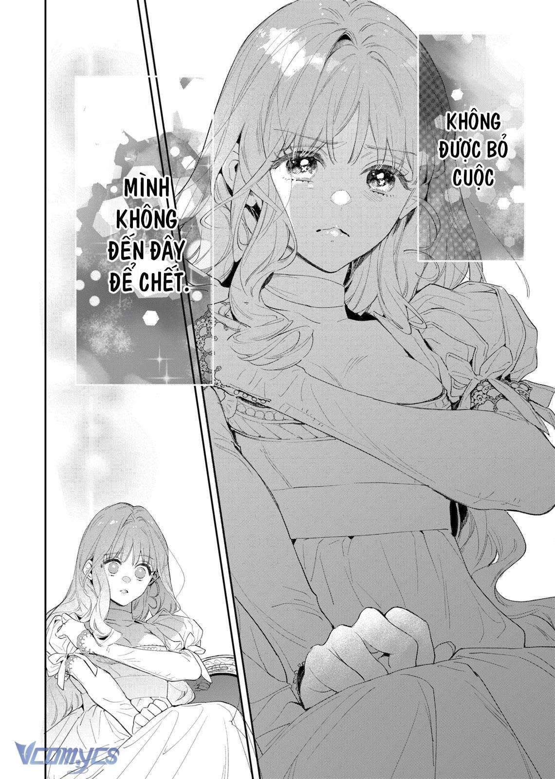 Hoa Hồng Ẩn Giấu Sao Băng Chapter 1 - Trang 4