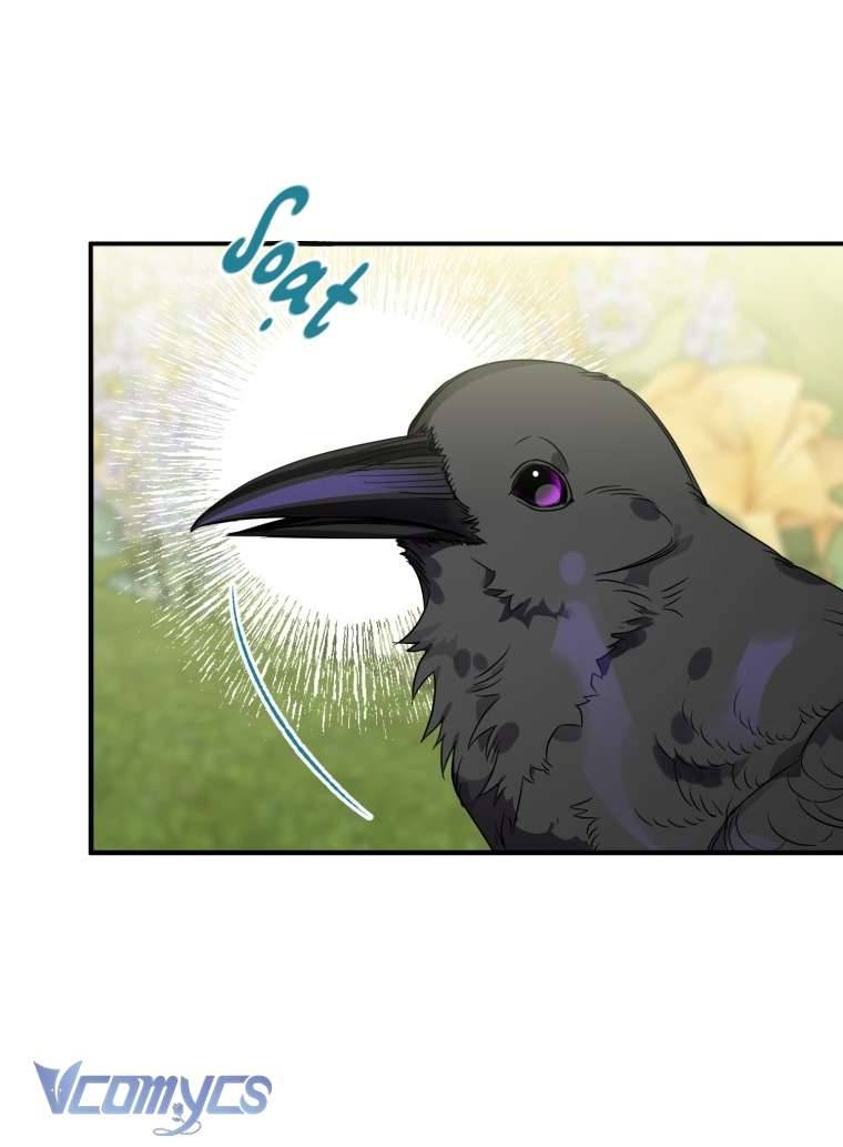 Bỗng Nhiên Tôi Trở Thành Quạ Đen!! Chapter 8 - Trang 4