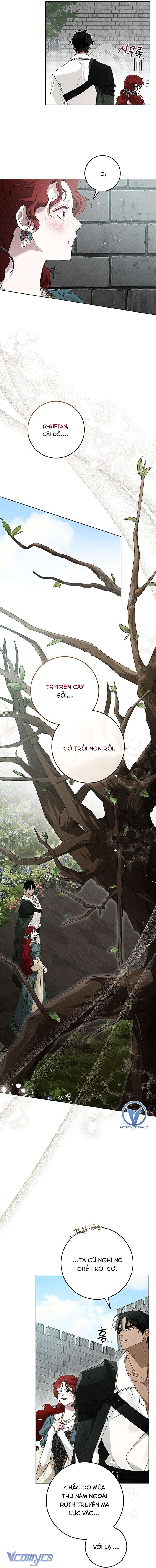 Dưới Bóng Cây Sồi Chapter 78 - Trang 4