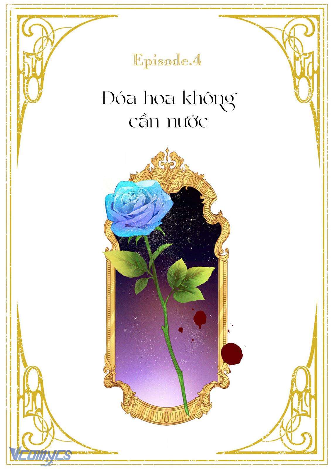 Hoa Hồng Ẩn Giấu Sao Băng Chapter 4 - Trang 4