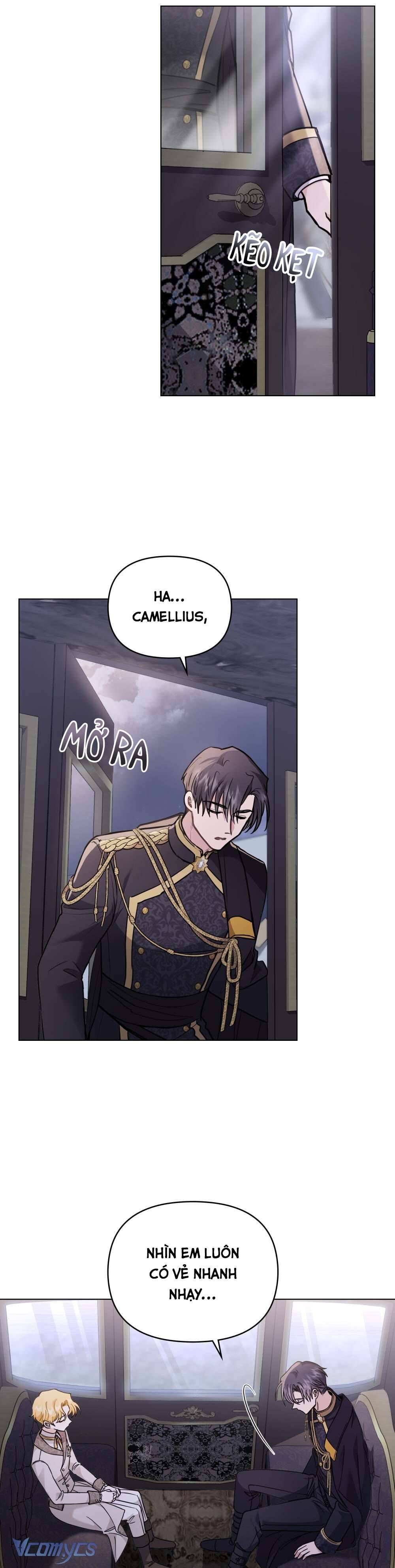 Tìm Lại Camellia Chapter 70 - Trang 4