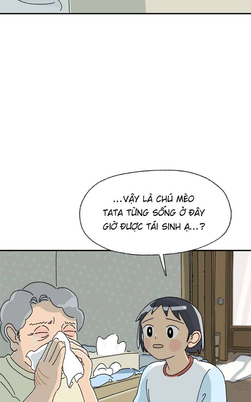 Chú Mèo Tata Chapter 3 - Trang 3