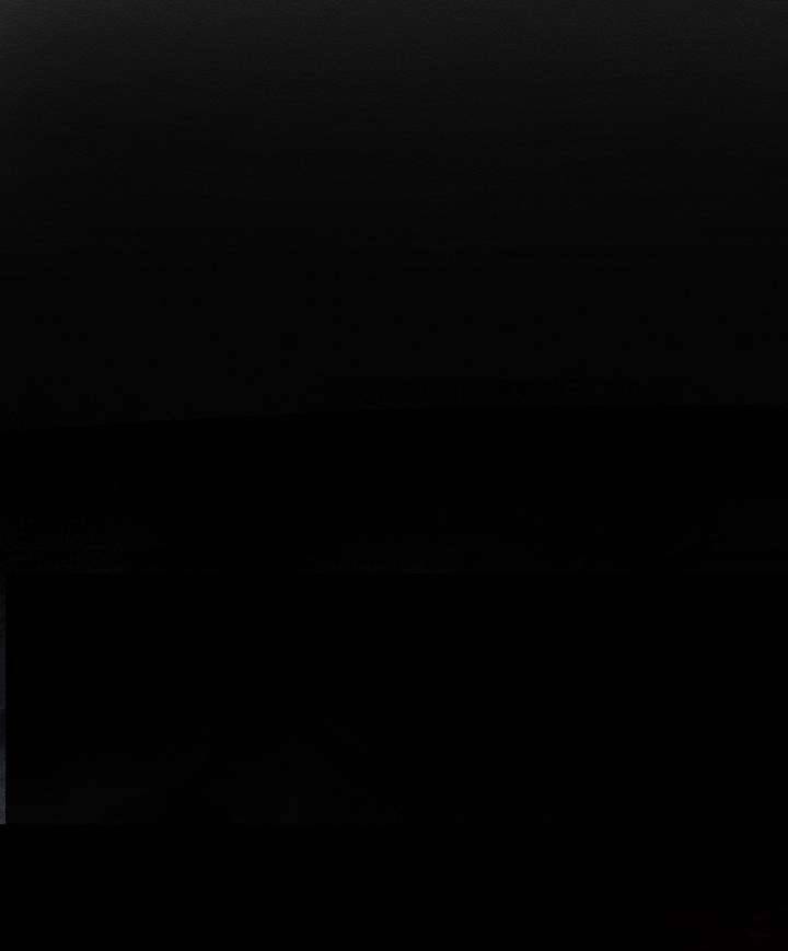 Trước Tiên Phải Giấu Em Trai Cái Đã! Chap 5 - Trang 2