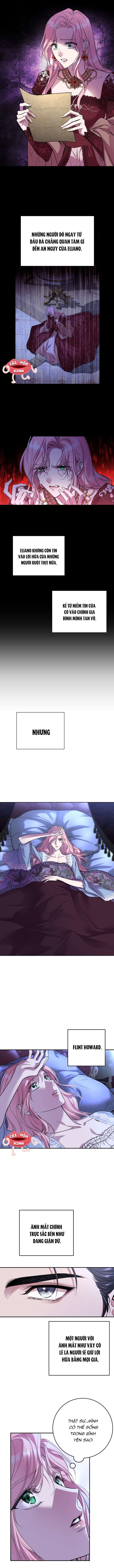 Cuộc Hôn Nhân Bị Bắt Cóc Xuyên Thời Gian Của Hoàng Hậu Chap 2 - Trang 3