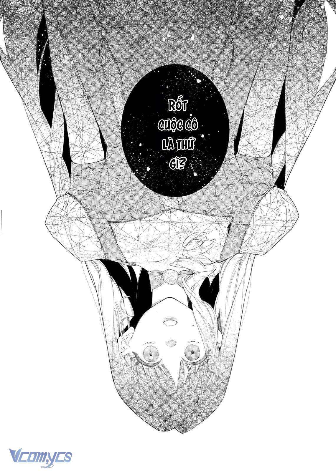 Hoa Hồng Ẩn Giấu Sao Băng Chapter 3 - Next Chapter 4