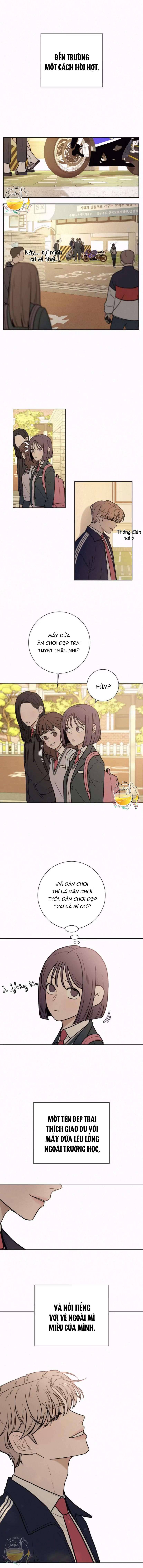 Chiến Lược: Tình Yêu Trong Sáng Chapter 13 - Next Chapter 14