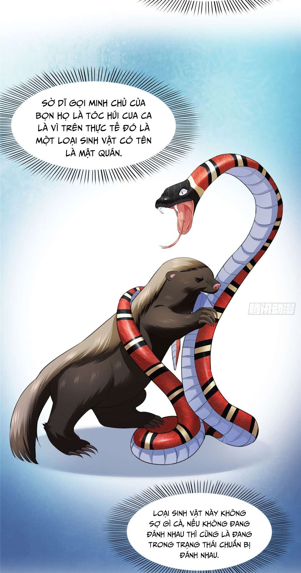 Hệt Như Hàn Quang Gặp Nắng Gắt Chap 260 - Trang 4