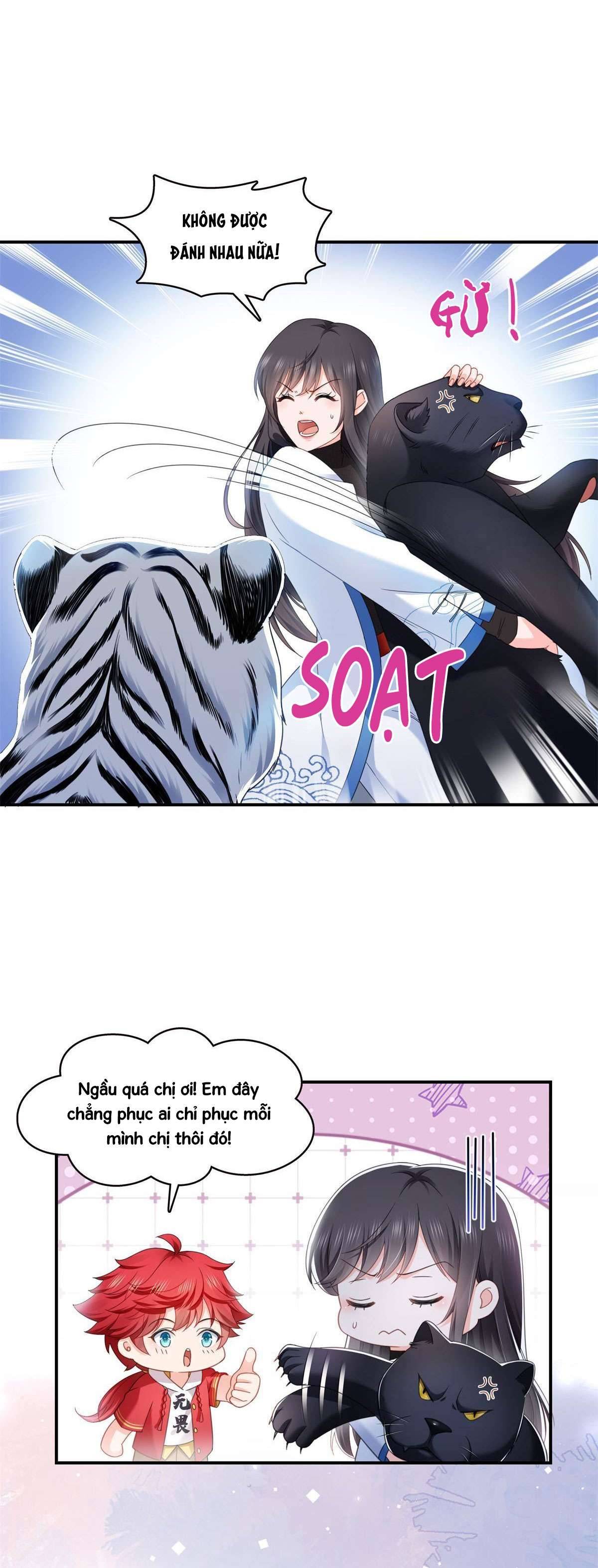 Hệt Như Hàn Quang Gặp Nắng Gắt Chap 277 - Trang 4