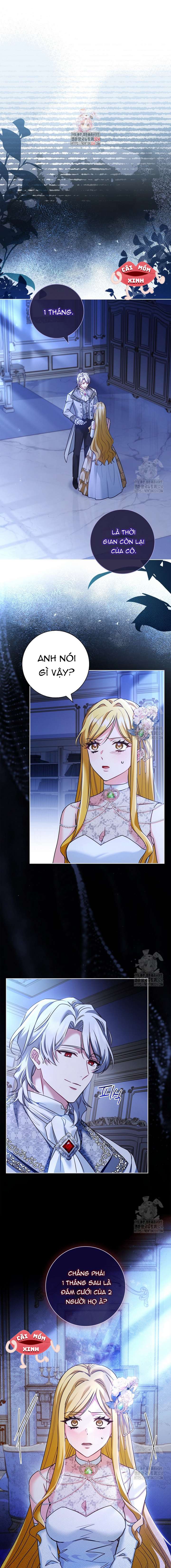 Tôi Phải Mau Chóng Kết Hôn Vì Thời Gian Có Hạn Chapter 26 - Trang 4