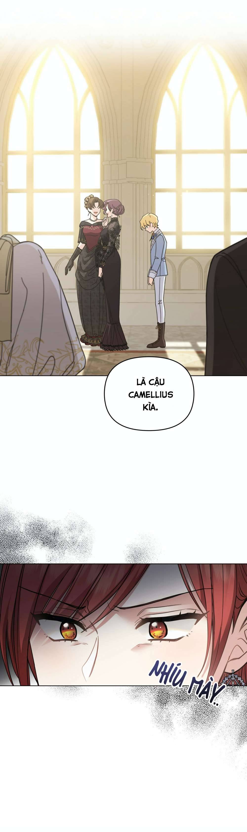 Tìm Lại Camellia Chapter 55 - Trang 4